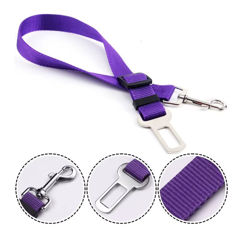Car Pet Safety Leash