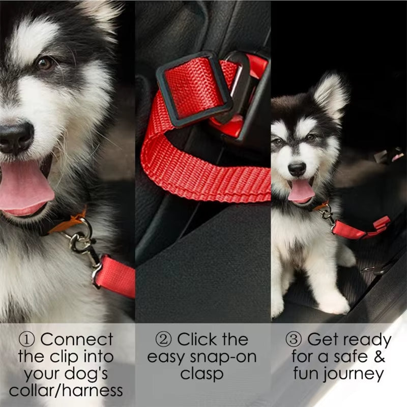 Car Pet Safety Leash