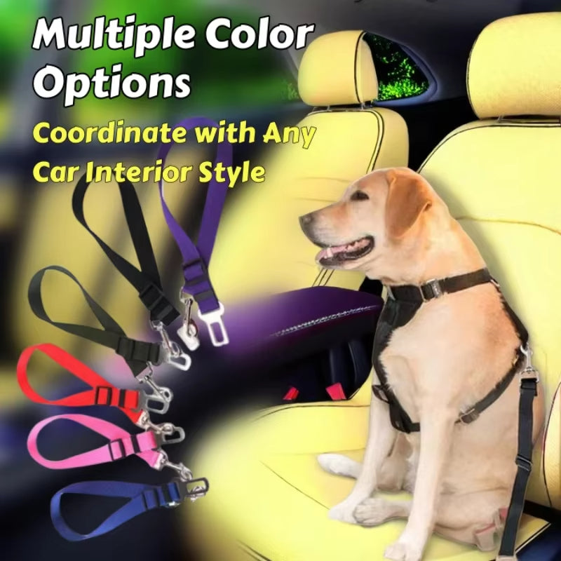 Car Pet Safety Leash